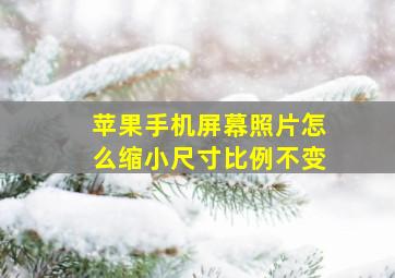 苹果手机屏幕照片怎么缩小尺寸比例不变