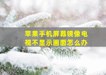 苹果手机屏幕镜像电视不显示画面怎么办