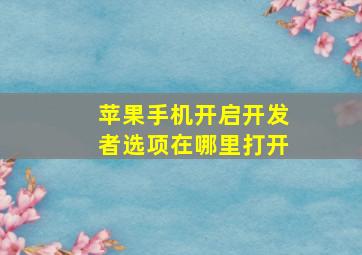 苹果手机开启开发者选项在哪里打开