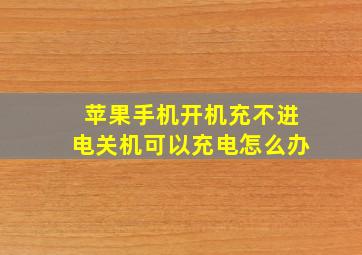 苹果手机开机充不进电关机可以充电怎么办