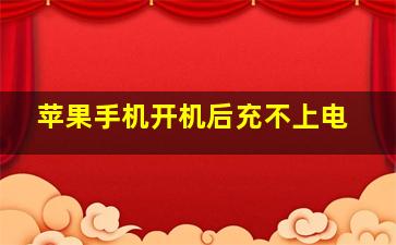 苹果手机开机后充不上电