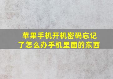 苹果手机开机密码忘记了怎么办手机里面的东西