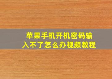 苹果手机开机密码输入不了怎么办视频教程