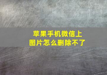 苹果手机微信上图片怎么删除不了