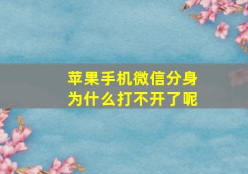 苹果手机微信分身为什么打不开了呢