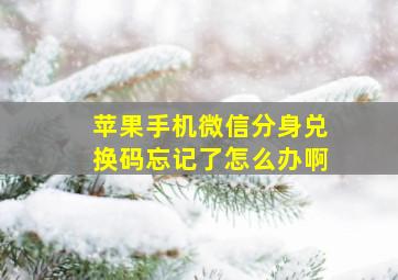 苹果手机微信分身兑换码忘记了怎么办啊