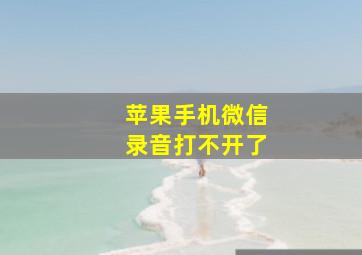 苹果手机微信录音打不开了