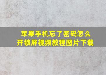 苹果手机忘了密码怎么开锁屏视频教程图片下载