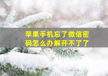 苹果手机忘了微信密码怎么办解开不了了