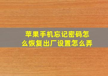 苹果手机忘记密码怎么恢复出厂设置怎么弄