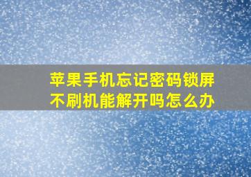 苹果手机忘记密码锁屏不刷机能解开吗怎么办