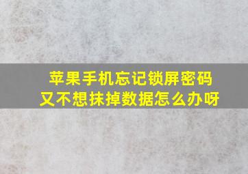 苹果手机忘记锁屏密码又不想抹掉数据怎么办呀