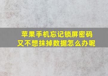 苹果手机忘记锁屏密码又不想抹掉数据怎么办呢