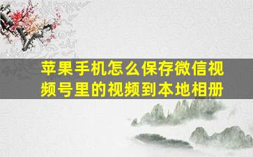 苹果手机怎么保存微信视频号里的视频到本地相册