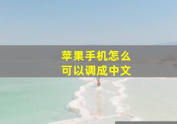 苹果手机怎么可以调成中文