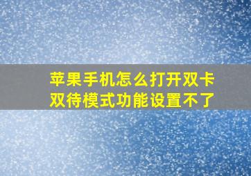 苹果手机怎么打开双卡双待模式功能设置不了