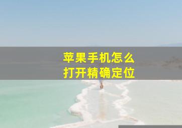 苹果手机怎么打开精确定位