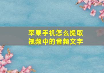 苹果手机怎么提取视频中的音频文字