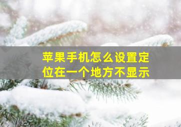 苹果手机怎么设置定位在一个地方不显示