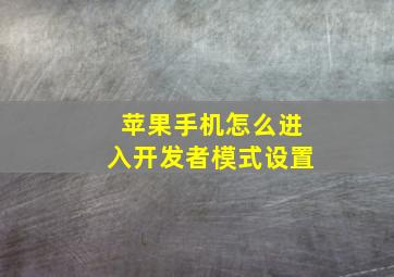 苹果手机怎么进入开发者模式设置