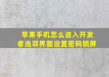 苹果手机怎么进入开发者选项界面设置密码锁屏