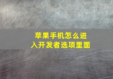 苹果手机怎么进入开发者选项里面