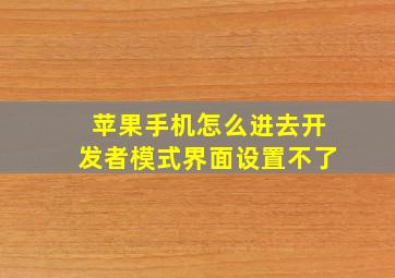 苹果手机怎么进去开发者模式界面设置不了