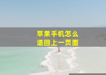 苹果手机怎么退回上一页面