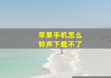 苹果手机怎么铃声下载不了