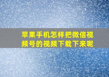 苹果手机怎样把微信视频号的视频下载下来呢