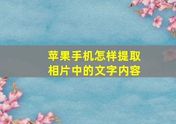 苹果手机怎样提取相片中的文字内容