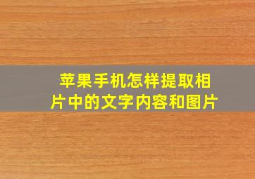 苹果手机怎样提取相片中的文字内容和图片