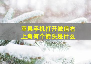 苹果手机打开微信右上角有个箭头是什么