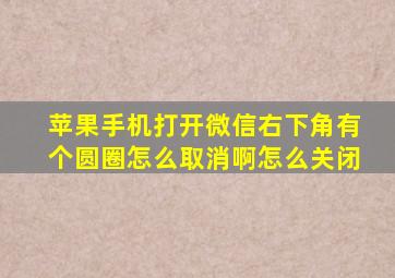 苹果手机打开微信右下角有个圆圈怎么取消啊怎么关闭