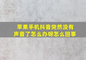 苹果手机抖音突然没有声音了怎么办呀怎么回事