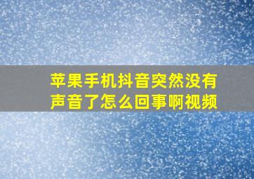 苹果手机抖音突然没有声音了怎么回事啊视频