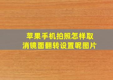 苹果手机拍照怎样取消镜面翻转设置呢图片