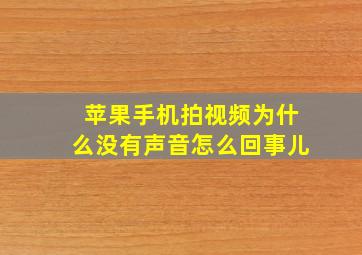 苹果手机拍视频为什么没有声音怎么回事儿