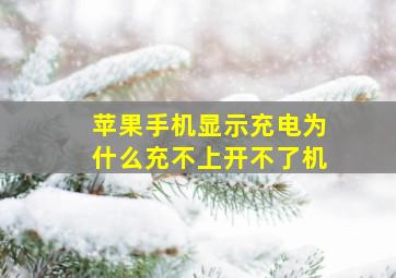 苹果手机显示充电为什么充不上开不了机