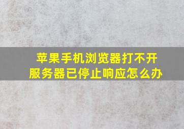 苹果手机浏览器打不开服务器已停止响应怎么办