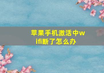 苹果手机激活中wifi断了怎么办