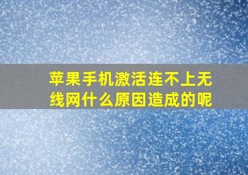 苹果手机激活连不上无线网什么原因造成的呢