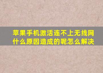 苹果手机激活连不上无线网什么原因造成的呢怎么解决