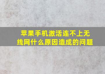 苹果手机激活连不上无线网什么原因造成的问题