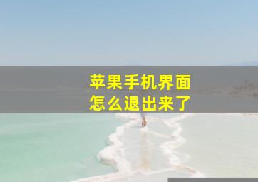 苹果手机界面怎么退出来了