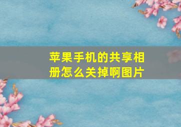 苹果手机的共享相册怎么关掉啊图片