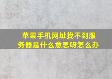 苹果手机网址找不到服务器是什么意思呀怎么办