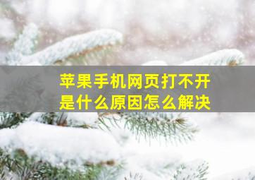 苹果手机网页打不开是什么原因怎么解决