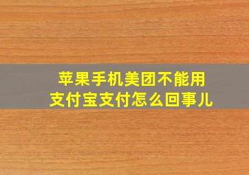 苹果手机美团不能用支付宝支付怎么回事儿