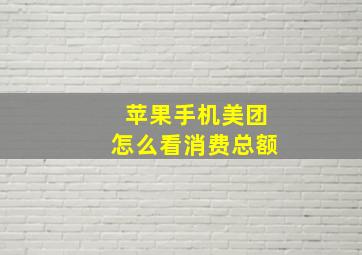 苹果手机美团怎么看消费总额